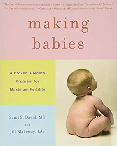 Making Babies: A Proven 3-Month Program for Maximum Fertility - Epub + Converted Pdf